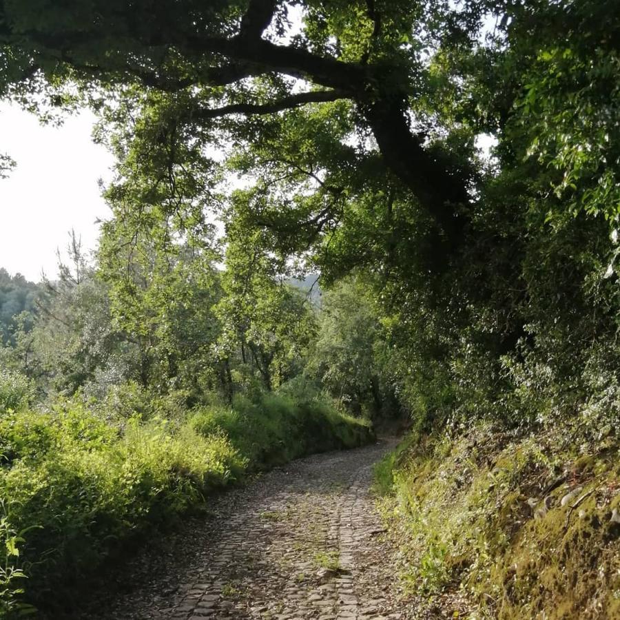 Pateo Das Rizas Eiras Buitenkant foto